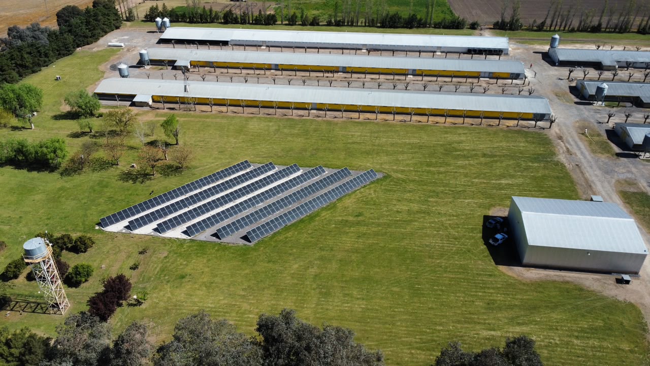 Eficiencia Energética en el Sector Avícola: El Caso de Éxito en Baradero