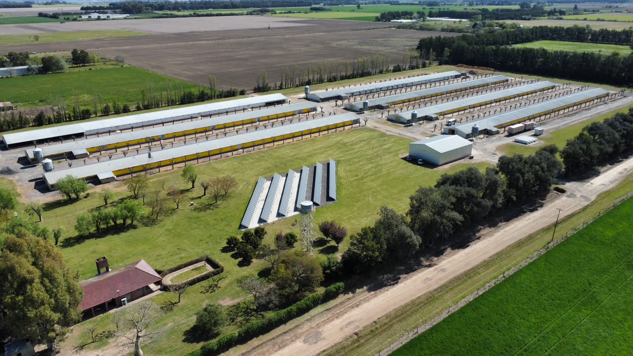 Eficiencia Energética en el Sector Avícola: El Caso de Éxito en Baradero